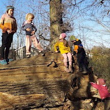 Kinder auf umgefallenen Baum